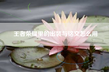 王者荣耀里的出装与铭文怎么用