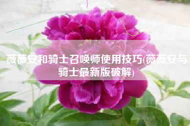 薇薇安和骑士召唤师使用技巧(薇薇安与骑士最新版破解)