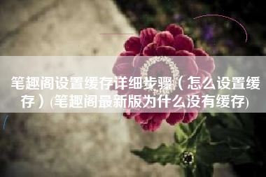 笔趣阁设置缓存详细步骤（怎么设置缓存）(笔趣阁最新版为什么没有缓存)