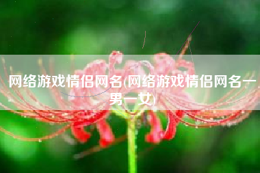 网络游戏情侣网名(网络游戏情侣网名一男一女)