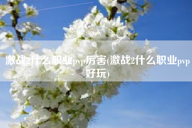 激战2什么职业pvp厉害(激战2什么职业pvp好玩)
