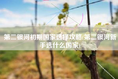 第二银河初期国家选择攻略(第二银河新手选什么国家)