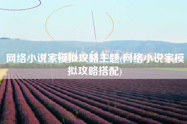 网络小说家模拟攻略主题(网络小说家模拟攻略搭配)