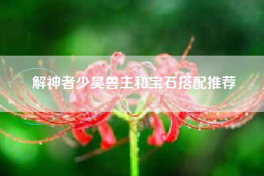 解神者少昊兽主和宝石搭配推荐