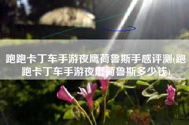 跑跑卡丁车手游夜鹰荷鲁斯手感评测(跑跑卡丁车手游夜鹰荷鲁斯多少钱)