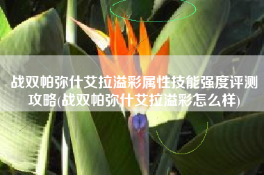 战双帕弥什艾拉溢彩属性技能强度评测攻略(战双帕弥什艾拉溢彩怎么样)