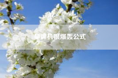 皇牌机娘爆轰公式