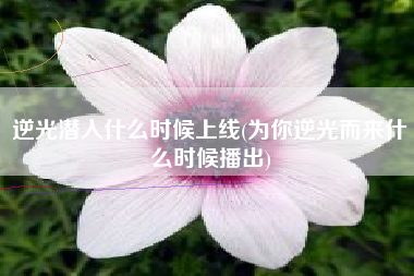 逆光潜入什么时候上线(为你逆光而来什么时候播出)