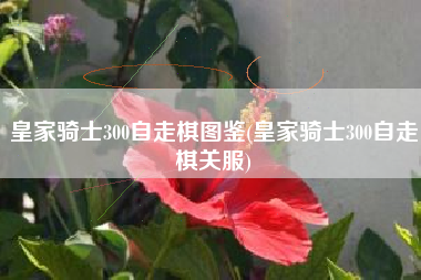 皇家骑士300自走棋图鉴(皇家骑士300自走棋关服)