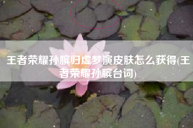 王者荣耀孙膑归虚梦演皮肤怎么获得(王者荣耀孙膑台词)