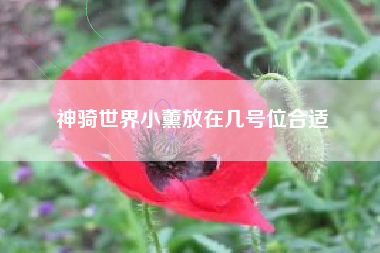 神骑世界小薰放在几号位合适