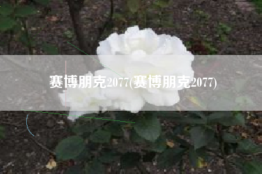 赛博朋克2077(赛博朋克2077)