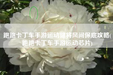 跑跑卡丁车手游运动健将风间保底攻略(跑跑卡丁车手游运动芯片)