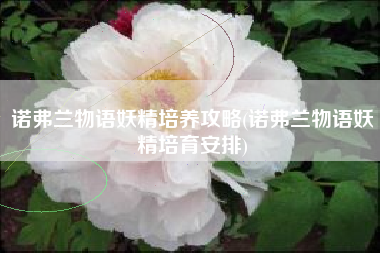 诺弗兰物语妖精培养攻略(诺弗兰物语妖精培育安排)