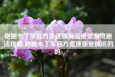 跑跑卡丁车官方竞速版海盗绝壁海湾跑法攻略(跑跑卡丁车官方竞速版是腾讯的吗)