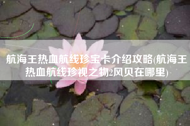 航海王热血航线珍宝卡介绍攻略(航海王热血航线珍视之物2风贝在哪里)