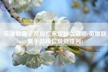 英雄联盟手游段位未定什么意思(英雄联盟手游段位级别排列)