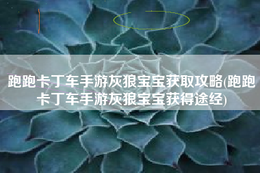 跑跑卡丁车手游灰狼宝宝获取攻略(跑跑卡丁车手游灰狼宝宝获得途经)