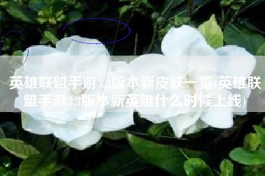 英雄联盟手游3.2版本新皮肤一览(英雄联盟手游3.3版本新英雄什么时候上线)