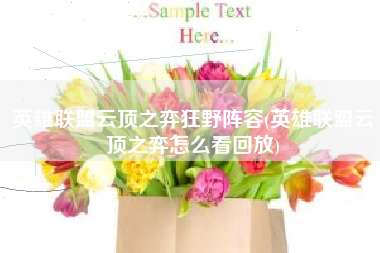 英雄联盟云顶之弈狂野阵容(英雄联盟云顶之弈怎么看回放)