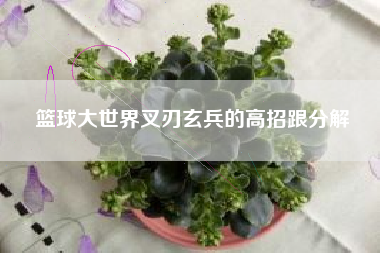 篮球大世界叉刃玄兵的高招跟分解