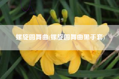 螺旋圆舞曲(螺旋圆舞曲黑手套)