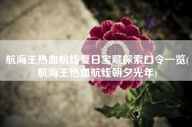 航海王热血航线夏日宝藏探索口令一览(航海王热血航线朝夕光年)