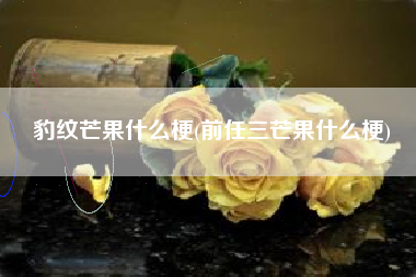 豹纹芒果什么梗(前任三芒果什么梗)