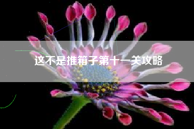这不是推箱子第十一关攻略
