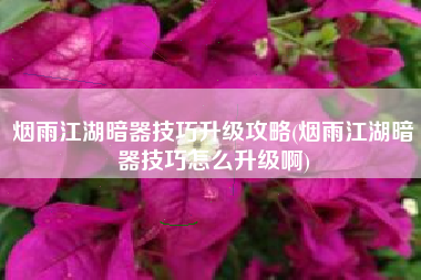 烟雨江湖暗器技巧升级攻略(烟雨江湖暗器技巧怎么升级啊)