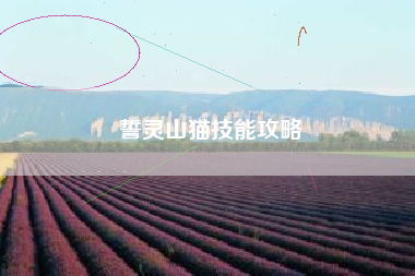 誓灵山猫技能攻略