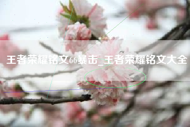 王者荣耀铭文66暴击_王者荣耀铭文大全