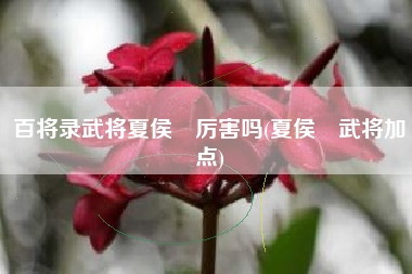 百将录武将夏侯惇厉害吗(夏侯惇武将加点)