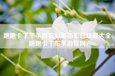 跑跑卡丁车手游祝福密语汇总攻略大全(跑跑卡丁车手游官网)
