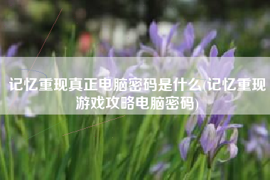 记忆重现真正电脑密码是什么(记忆重现游戏攻略电脑密码)