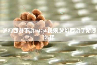 梦幻西游手游2017pk视频,梦幻西游手游怎么样