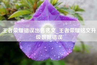 王者荣耀错误出售铭文_王者荣耀铭文升级数据错误