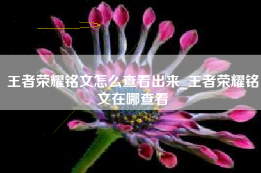 王者荣耀铭文怎么查看出来_王者荣耀铭文在哪查看