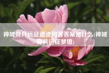 神域奇兵远征遗迹问答答案是什么(神域奇兵远征梦境)