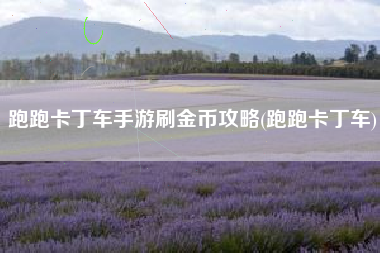 跑跑卡丁车手游刷金币攻略(跑跑卡丁车)