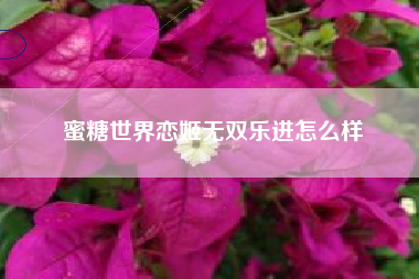 蜜糖世界恋姬无双乐进怎么样