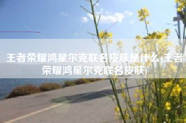 王者荣耀鸿星尔克联名皮肤是什么(王者荣耀鸿星尔克联名皮肤)