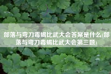 部落与弯刀毒蝎比武大会答案是什么(部落与弯刀毒蝎比武大会第三题)