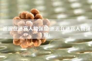 邂逅在迷宫人物强度(邂逅在迷宫人物强度)