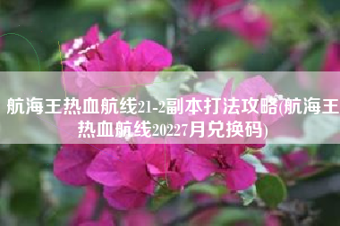 航海王热血航线21-2副本打法攻略(航海王热血航线20227月兑换码)