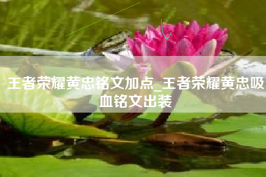 王者荣耀黄忠铭文加点_王者荣耀黄忠吸血铭文出装
