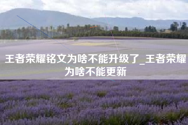 王者荣耀铭文为啥不能升级了_王者荣耀为啥不能更新