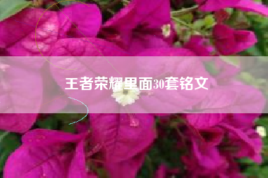 王者荣耀里面30套铭文