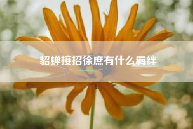 貂蝉接招徐庶有什么羁绊