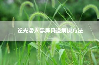 逆光潜入黑屏闪退解决方法